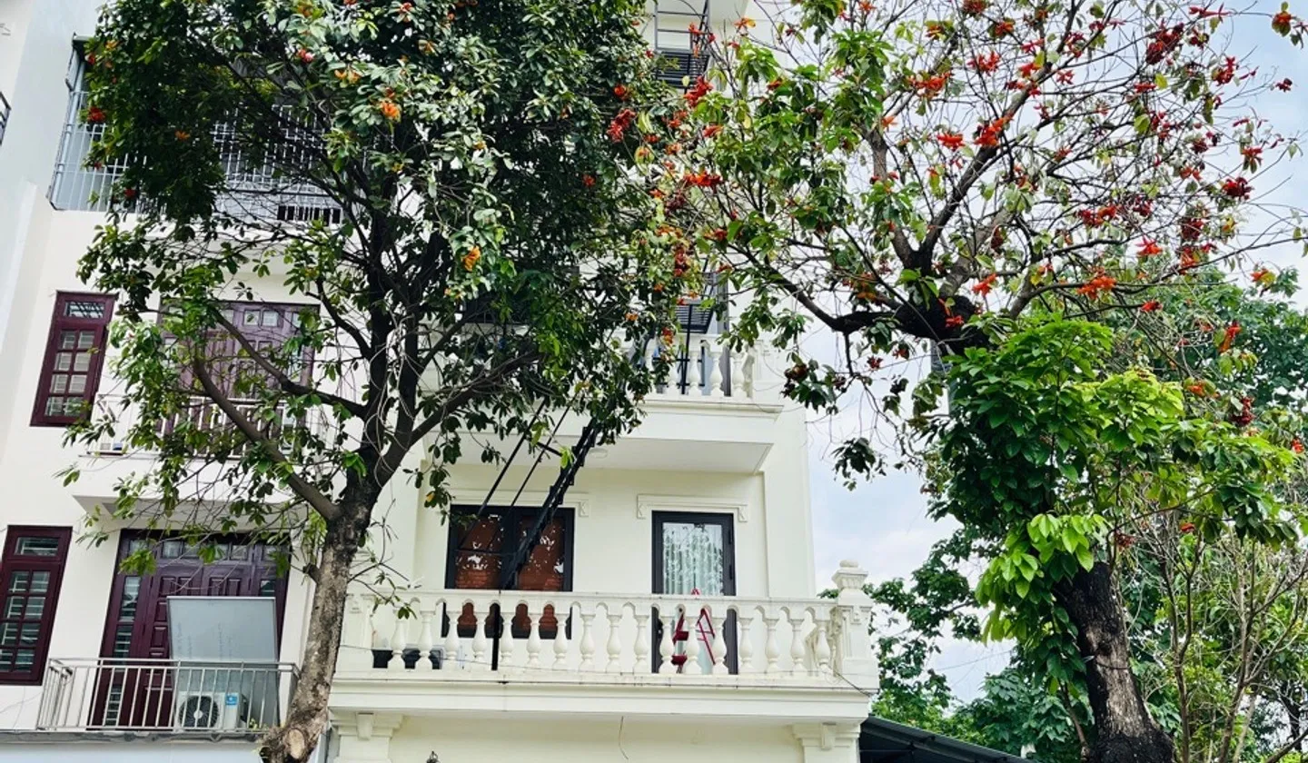 Tòa CCMN lô góc HUD Vân Canh - Ô tô đỗ cửa, lợi nhuận khủng... Bán biệt thự, liền kề tại Sơn Đồng, Hà Nội 01