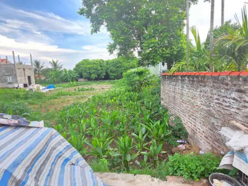 Đất Trung Tâm Hưng Yên - Cơ Hội Đáng Sở Hữu Nhất Bây Giờ!... Bán đất tại Sơn Nam, Hưng Yên 01