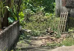 Cơ hội sở hữu đất nền đẹp tại thôn Yên Giả, Bắc Ninh với giá hấp dẫn... Bán đất tại Chi Lăng, Bắc Ninh 01