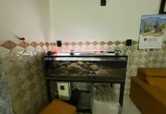 NHÀ 3 TẦNG KIÊN CỐ – NGANG 6M – SÂN Ô TÔ RỘNG – GIÁ NHỈNH 6 TỶ... Bán nhà riêng tại An Khê, Đà Nẵng 05