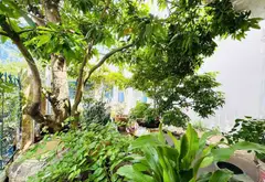 Cơ hội sở hữu nhà rộng 260m2 quận 7 chỉ 8 tỷ thương lượng, hiếm có khó tìm... Bán nhà riêng tại Tân Mỹ, Hồ Chí Minh 11