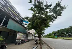 Siêu phẩm cụm công nghiệp- ngay ga cao tốc- vành đai 3,5- đại lộ giải phóng ngọc hồi 16 làn xe...... Bán văn phòng tại Ngọc Hồi, Hà Nội 02