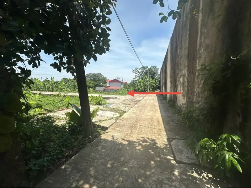 Đầu Tư Thông Minh Tại Tiên Dược - Đất Rộng Đẹp Chờ Chủ Mới!... Bán đất tại Sóc Sơn, Hà Nội 01