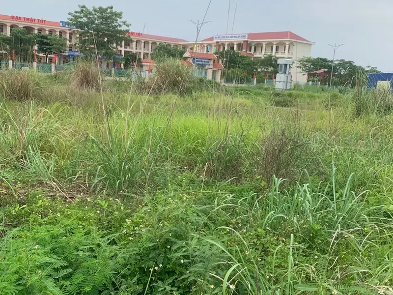 Đất nền vuông vắn thôn 5 Thủy Sơn, hướng Đông Nam, cơ hội đầu tư tiềm năng... Bán đất tại Thủy Nguyên, Hải Phòng 01