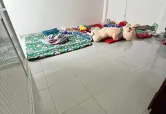 Bán nhà riêng 50m2 tại xã Nhà Bè, Hồ Chí Minh, giá 3.7 tỷ đồng... Bán nhà riêng tại Nhà Bè, Hồ Chí Minh 10