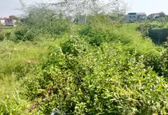 Lô góc 3 mặt thoáng trục chính Trạc Nhiệt Bồng Lai Bắc Ninh... Bán đất tại Bồng Lai, Bắc Ninh 01