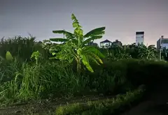 Lô góc đắc địa sẵn sàng bứt phá ngay tại Quán Toan... Bán đất tại An Hưng, Hải Phòng 04