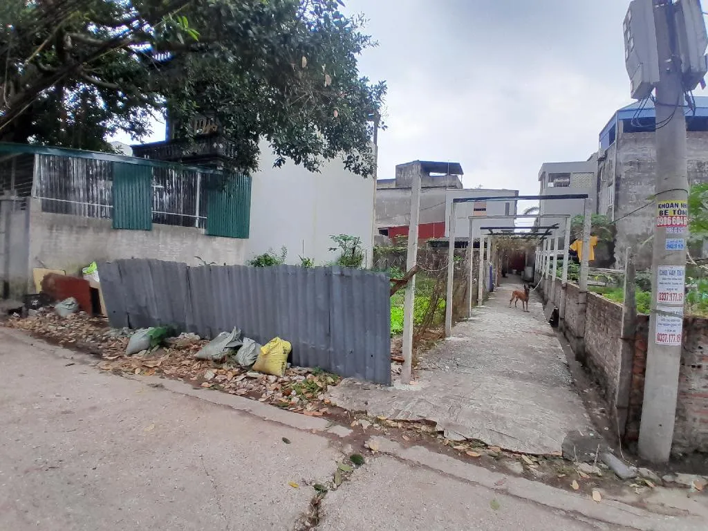 Bán đất 159 m² mặt tiền 8 m tại xã Lương Quy - Xuân Nộn, giá 13.8 tỷ... Bán đất tại Phúc Thịnh, Hà Nội 01