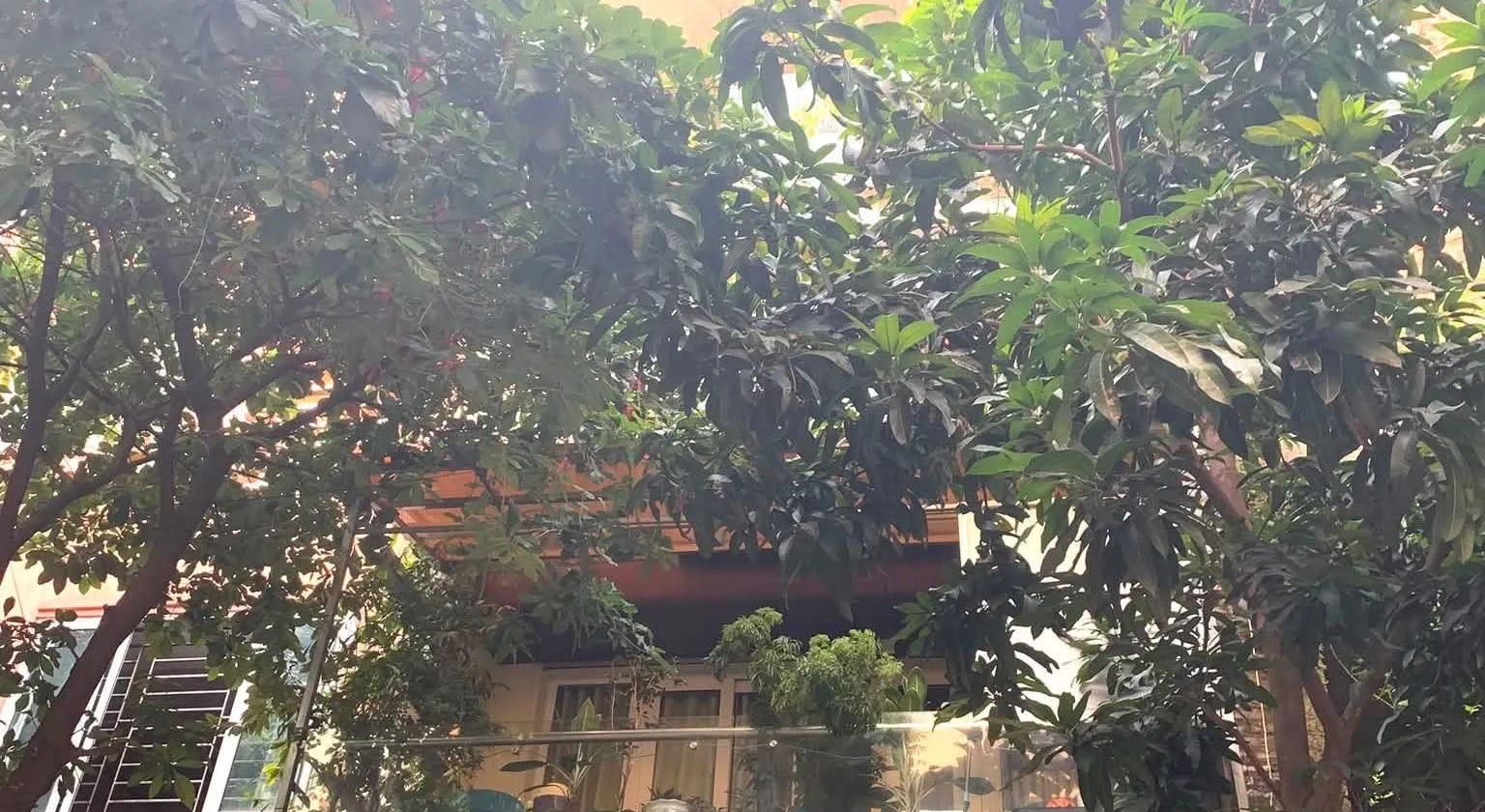 CẦN TIỀN KINH DOANH BÁN GẤP LIỀN KỀ VĂN KHÊ, 83M2 x 5 TẦNG, NHỈNH 18 TỶ... Bán nhà riêng tại Hà Đông, Hà Nội 01