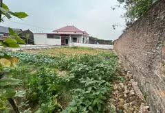 Bán đất nền Quốc lộ 3, Diện tích 83m², Pháp lý rõ ràng, Gần tiện ích... Bán đất tại Sóc Sơn, Hà Nội 06