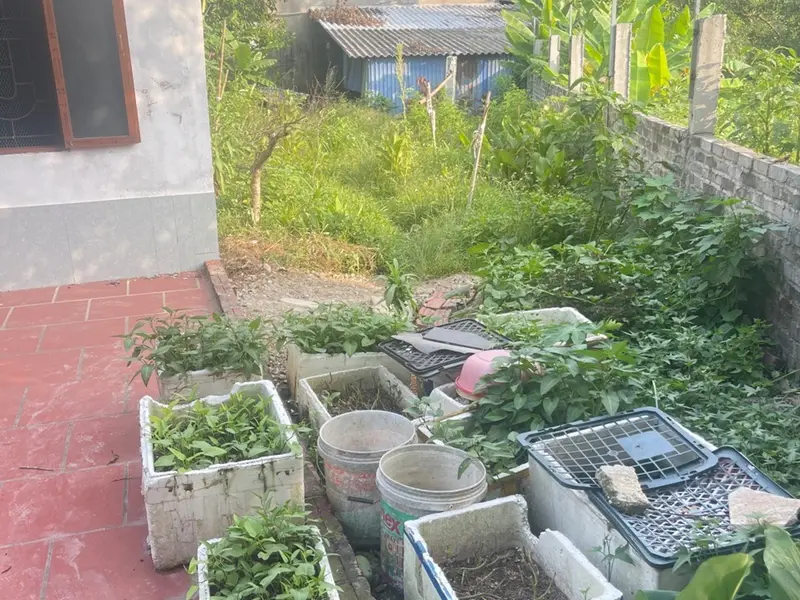 Bán căn hộ 1 phòng ngủ 210m2 tại xã Sóc Sơn, Hà Nội... Bán căn hộ chung cư tại Sóc Sơn, Hà Nội 01