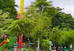 Bán nhà 3 tầng, 2 phòng ngủ gần công viên Lê Thị Riêng, Trường Sơn... Bán nhà riêng tại Hòa Hưng, Hồ Chí Minh 01