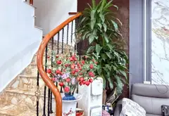 Cơ hội duy nhất sở hữu nhà 4 tầng ngay mặt phố Trần Khánh Dư, đẳng cấp riêng biệt... Bán nhà riêng tại Ngô Quyền, Hải Phòng 11
