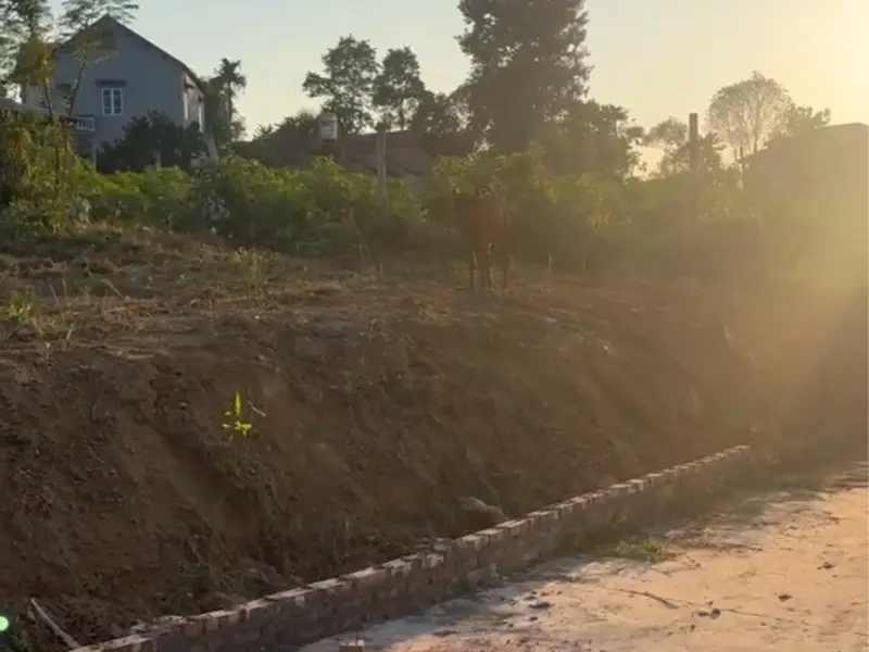 Bán đất 500m2 xã Trung Giã, Hà Nội giá 2,8 tỷ phù hợp xây biệt thự... Bán đất tại Trung Giã, Hà Nội 01