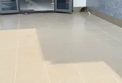Nhà trệt lầu 3PN 2WC gần Ga Metro Phường Linh Xuân Thủ Đức... Bán nhà riêng tại Linh Xuân, Hồ Chí Minh 03