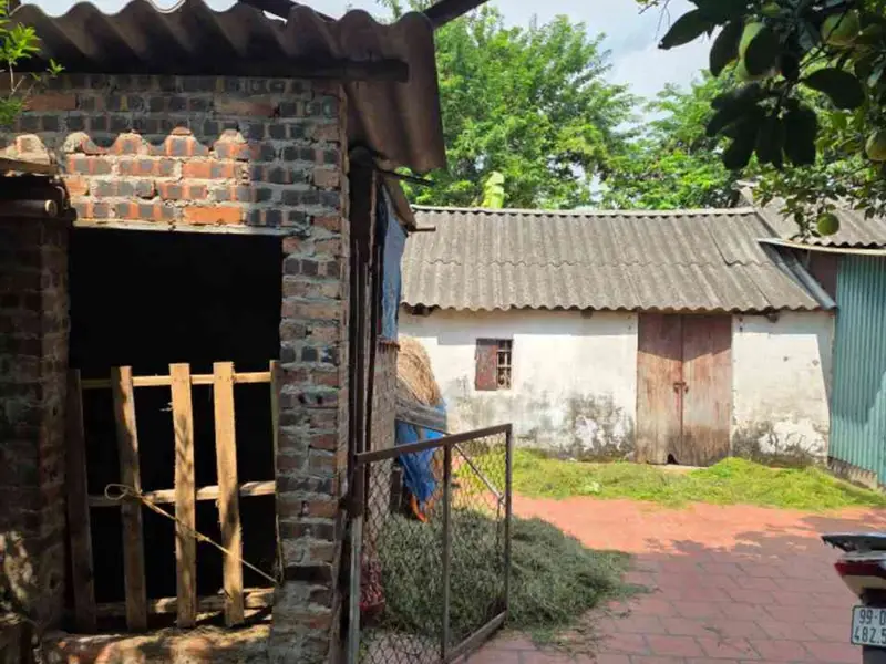 Cần bán 160m đất mặt tiền 8m dài 20m giá chào 2.1 tỷ chia được 2 lô, xây nhà đẹp... Bán đất tại Tam Giang, Bắc Ninh 01