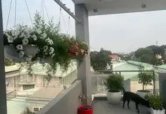 Bán nhà 5 tầng, 4x20m mặt tiền ngay chùa Hoằng Pháp, Hóc Môn, 6,2 tỷ... Bán nhà mặt phố tại Hóc Môn, Hồ Chí Minh 04