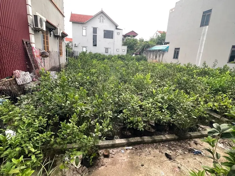 Đất Phân Lô Văn Giang Giá Sốc, Ô Tô Đỗ Cửa... Bán đất tại Văn Giang, Hưng Yên 01