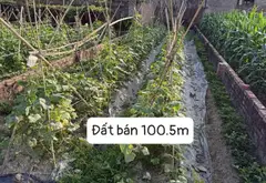 Đất đẹp thôn Bắc Thượng, Sóc Sơn giá tốt... Bán owner_side tại Sóc Sơn, Hà Nội 03
