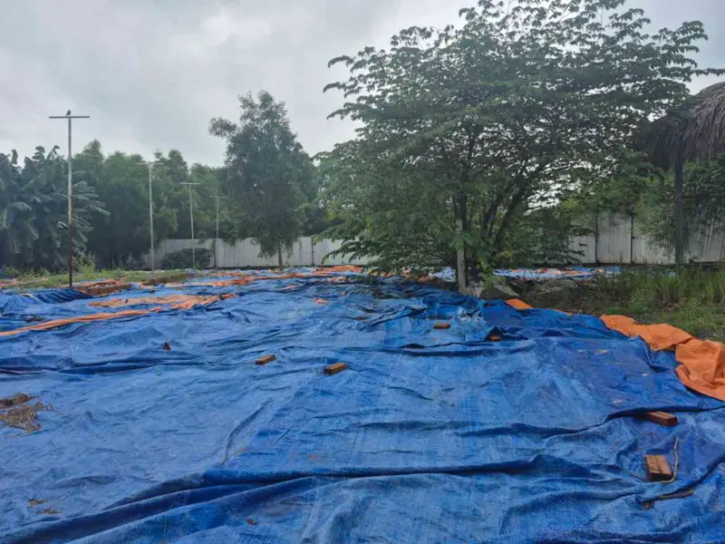 Bán đất 1300m² xã Vĩnh Lộc, Hồ Chí Minh, mặt tiền rộng, pháp lý cơ sở... Bán đất tại Vĩnh Lộc, Hồ Chí Minh 01