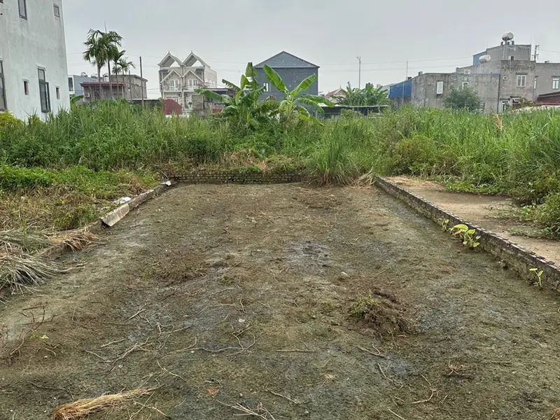 Bán đất 85m² tại Thôn Tân Linh, Minh Tân, Kiến Thụy, Hải Phòng hướng Tây Nam... Bán đất tại Kiến Thụy, Hải Phòng 01
