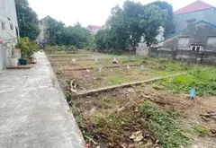 Đất Tân Quang Hưng Yên gần vin Gia Lâm, giáp kiêu kỵ gia lâm... Bán đất tại Như Quỳnh, Hưng Yên 02