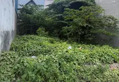 Bán đất mặt phố Nguyễn Ảnh Thủ, Hóc Môn diện tích 160m2, mặt tiền 8m... Bán nhà mặt phố tại Bà Điểm, Hồ Chí Minh 07
