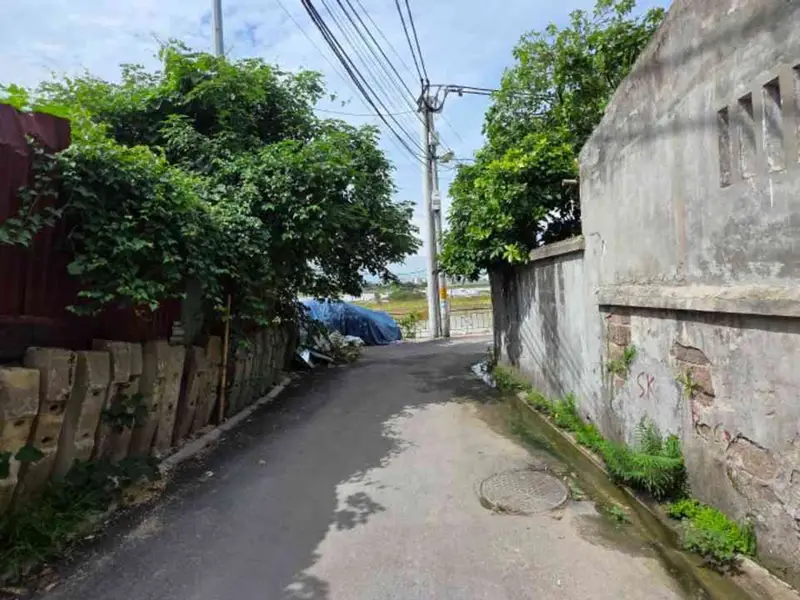 Bán đất hai mặt tiền view sông Đuống tại xã Phù Đổng, Hà Nội... Bán đất tại Phù Đổng, Hà Nội 01