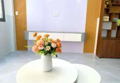 Nhà 2 tầng Tân Bình, diện tích 33m2, giá 4.7 tỷ, nội thất cao cấp... Bán nhà riêng tại Tân Hòa, Hồ Chí Minh 05