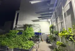Biệt thự phố sang trọng mặt tiền rộng tại Bình Tân... Bán nhà mặt phố tại Bình Hưng Hòa, Hồ Chí Minh 19