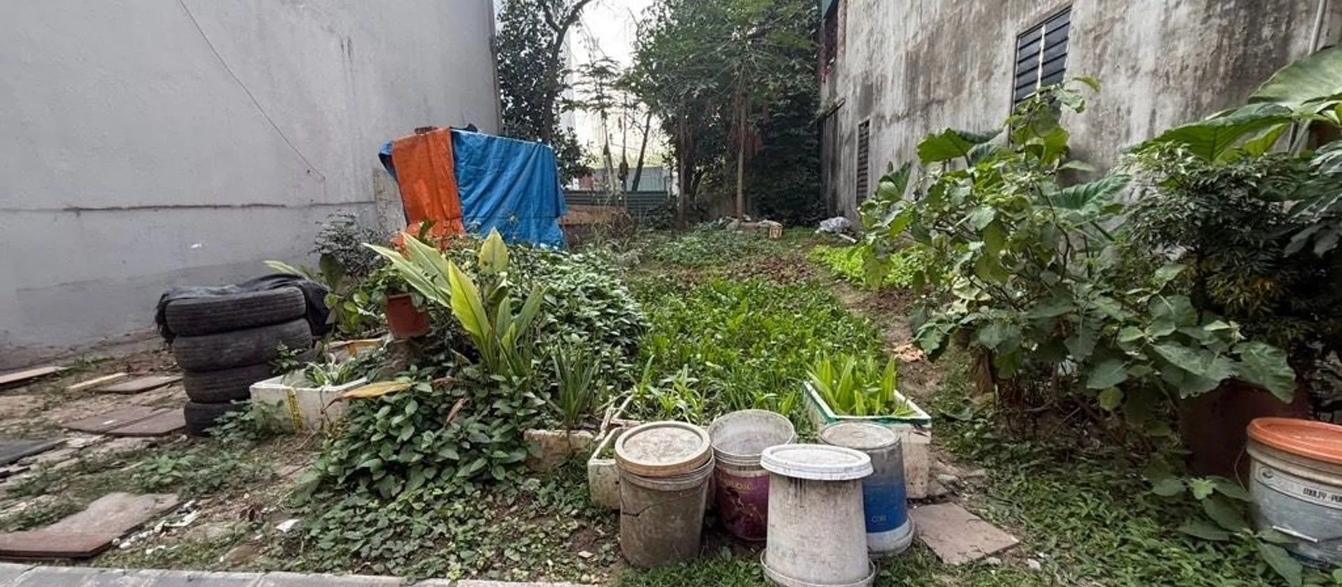 Bán đất 53.7m² tại Thư Lâm (thị trấn Đông Anh), ô tô vào đất... Bán đất tại Thư Lâm, Hà Nội 01