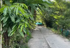 Cơ hội hiếm có sở hữu đất rộng sân bay quận 8 chỉ với 6 tỷ... Bán đất tại Bình Đông, Hồ Chí Minh 04