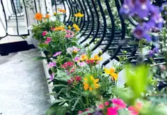 Nhà mặt phố kinh doanh đẳng cấp tại Khu Đô Thị Văn Phú, Hà Đông 110m2, 6 tầng, Thang Máy.... Bán nhà mặt phố tại Hà Đông, Hà Nội 11
