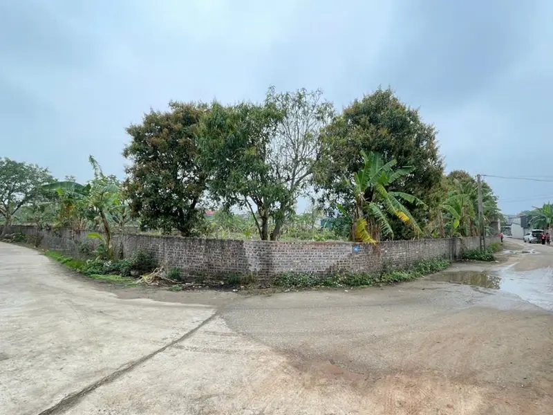Bán đất 1916m2 xã Kim Anh, Hà Nội, giá 12 tỷ, mặt tiền rộng... Bán đất tại Kim Anh, Hà Nội 01