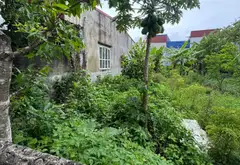 Cơ hội vàng sở hữu đất đẹp nở hậu tại phường An Hải... Bán đất tại An Hải, Hải Phòng 05