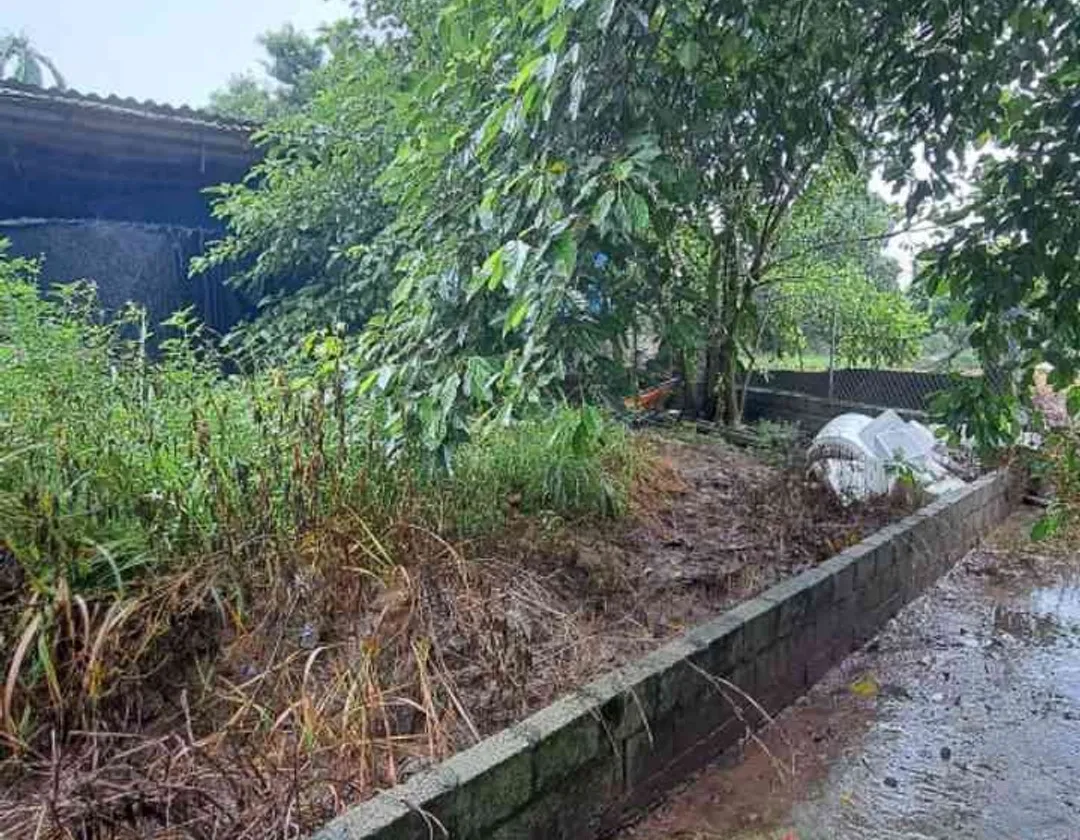 Đất lô góc view hồ sinh thái, khu dân cư sầm uất tại Văn Giang... Bán đất tại Văn Giang, Hưng Yên 01