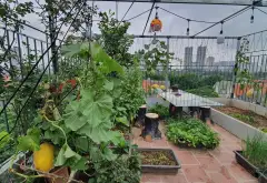 Cơ hội sở hữu nhà liền kề vị trí vàng tại Văn Quán giá tốt hiếm có 70m2, 6 tầng.... Bán biệt thự, liền kề tại Hà Đông, Hà Nội 09