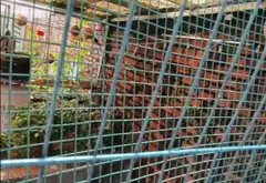SIÊU PHẨM CHÂN DÀI 2 TẦNG TRẦN VĂN GIÀU HẺM XE HƠI... Bán nhà riêng tại Tân Vĩnh Lộc, Hồ Chí Minh 16