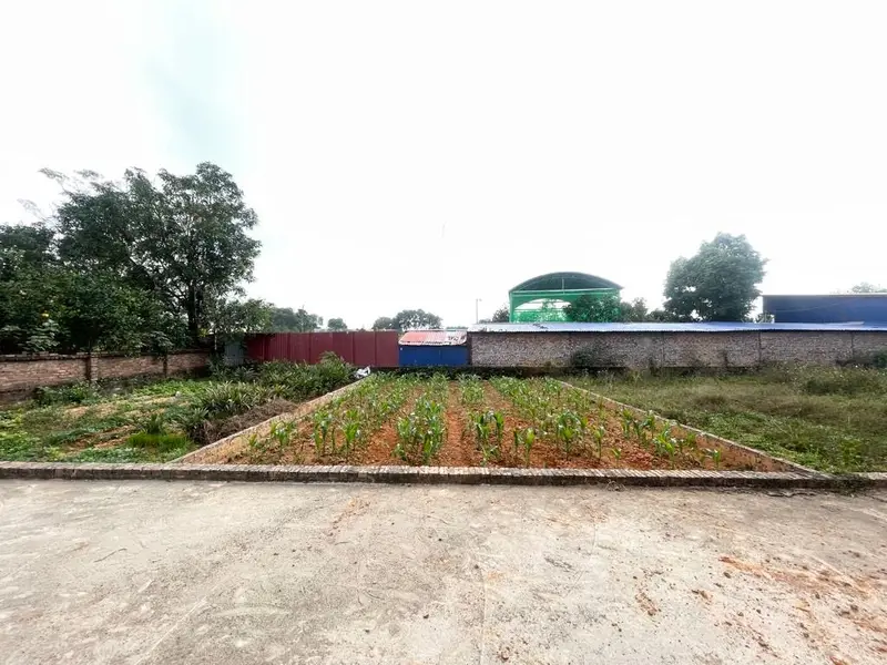 Đất Tân Minh Sóc Sơn Mặt Tiền Rộng, Giá Sốc Giảm Ngay 100 Triệu... Bán đất tại Sóc Sơn, Hà Nội 01
