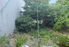 Bán đất đường NGUYỄN THỊ NHUẦN, phường AN PHÚ ĐÔNG,Q12 . DT (70m² 418) giá 4,9ty... Bán đất tại An Phú Đông, Hồ Chí Minh 06