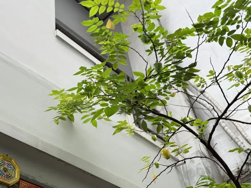 Nhà Phường Nhiêu Lộc, Quận 3 - Vị trí vàng, tiện nghi đầy đủ... Bán nhà riêng tại Nhiêu Lộc, Hồ Chí Minh 01