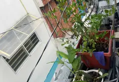 Nhà 3 tầng siêu vị trí trung tâm Quận 10 giá cực tốt... Bán nhà riêng tại Hòa Hưng, Hồ Chí Minh 04