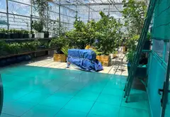 Chung cư mini 360m² tại Đường Số 15, Bình Tân - Lợi nhuận ổn định... Bán chung cư mini tại Bình Hưng Hòa, Hồ Chí Minh 03