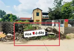 Đất trục chính sầm uất, sẵn giao dịch nhanh... Bán đất tại Kim Anh, Hà Nội 05