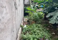 Nhà nhỏ xinh ngay trung tâm xã Đan Phượng... Bán nhà riêng tại Đan Phượng, Hà Nội 03