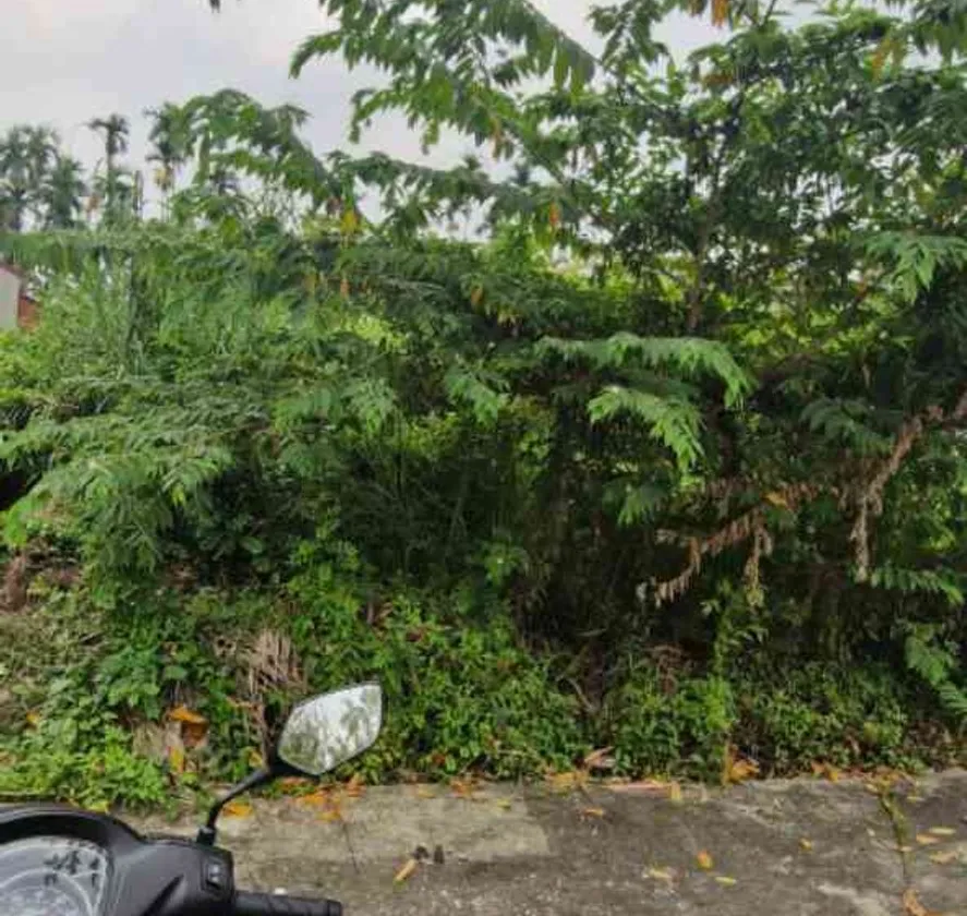 Lô đất đẹp tại Lâm Động, Thủy Nguyên với mặt tiền rộng và ngõ ô tô thuận tiện... Bán đất tại Thiên Hương, Hải Phòng 01