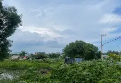 Đất Mặt Tiền Thanh Xuân, Long Hải – Cơ Hội Vàng Đầu Tư Biển... Bán đất tại Long Hải, Hồ Chí Minh 05