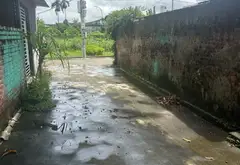 Bán đất phân lô phường Quốc Tuấn, An Lão, Hải Phòng, mặt tiền rộng, ngõ ô tô vào tận nơi... Bán đất tại An Quang, Hải Phòng 09