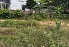 Lô đất 80m2 yên tĩnh, khu trung du Quế Võ... Bán đất tại Phù Lãng, Bắc Ninh 03