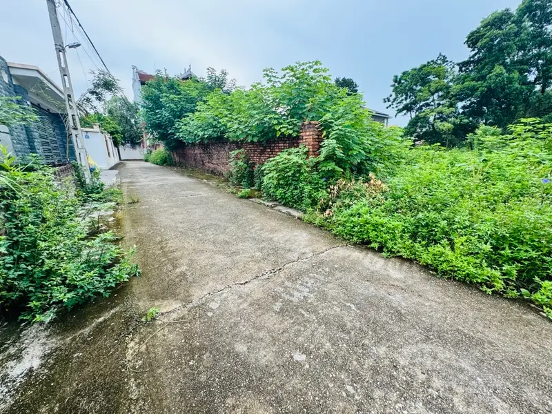 Đất Nền Đẹp, Đầu Tư Sinh Lời Tại Đông Anh!... Bán owner_side tại Sóc Sơn, Hà Nội 01